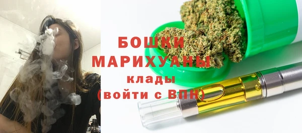 хмурый Вяземский