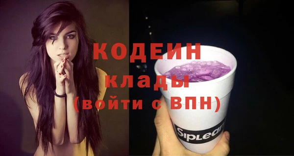 мдпв Вязьма