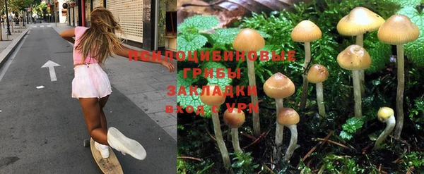прущие крисы Володарск