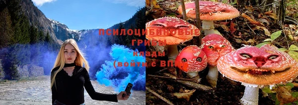 стафф Волосово
