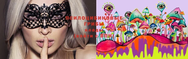 стафф Волосово